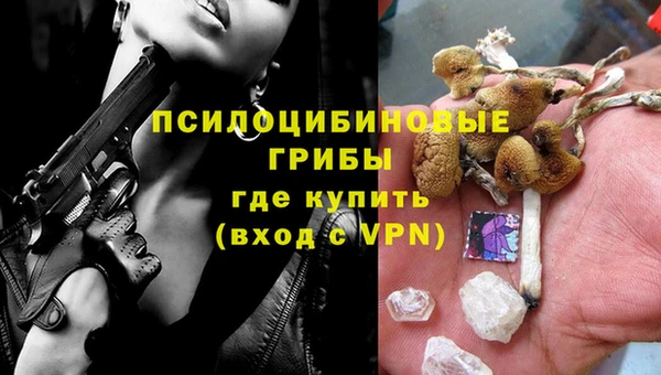 хмурый Елабуга