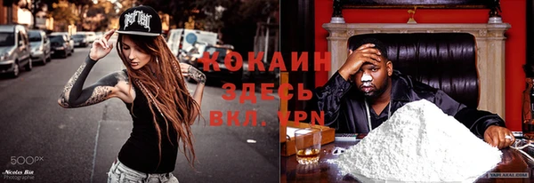 метамфетамин Ельня