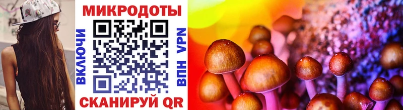 Псилоцибиновые грибы прущие грибы  Купить  Мураши 